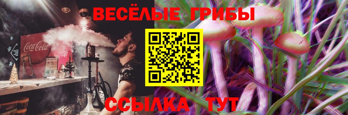 Галлюциногенные грибы Psilocybine cubensis Иваново